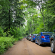 Illustration for article titled No Pit Pass Required: Spectating Stage Rally Isn't Really That Bad